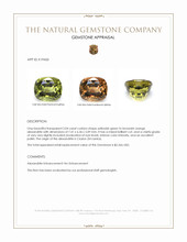 Jewelry Appraisal