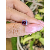 2.02 Ct. Spinel from Ceylon (Sri Lanka) Life Style