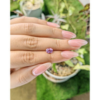 1.16 Ct. Spinel from Ceylon (Sri Lanka) Life Style