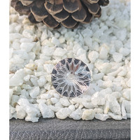 26.96 Ct. Rose Quartz from Ceylon (Sri Lanka) Life Style