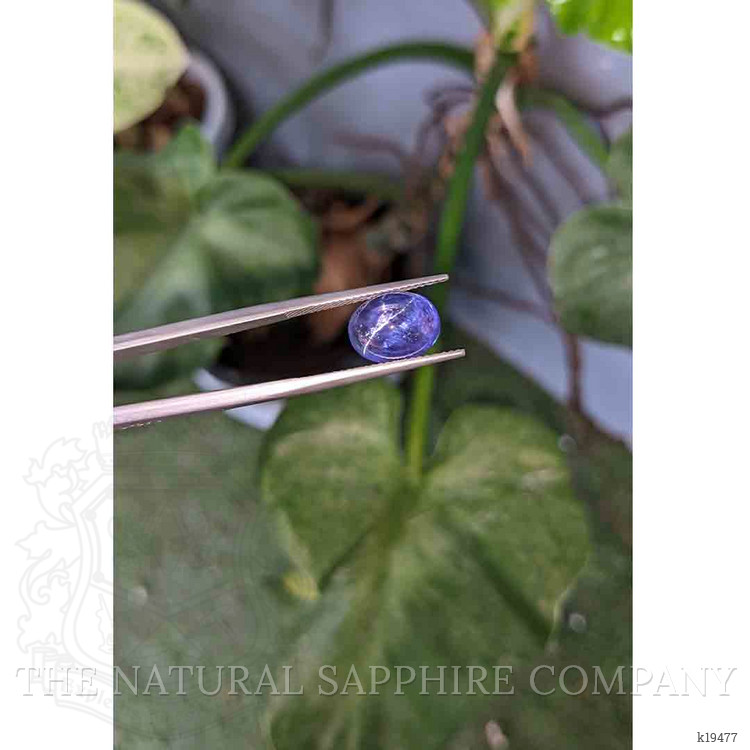 5.65 Ct. Cabochon Tanzanite from Tanzania