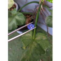 4.93 Ct. Cabochon Tanzanite from Tanzania Life Style