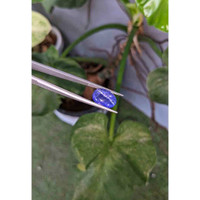 7.66 Ct. Cabochon Tanzanite from Tanzania Life Style