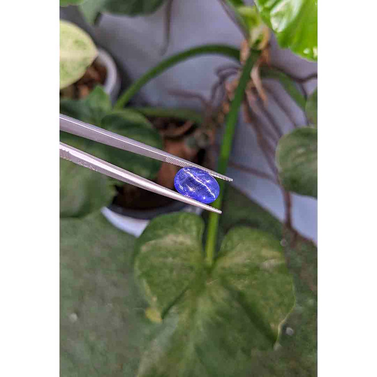 7.66 Ct. Cabochon Tanzanite from Tanzania