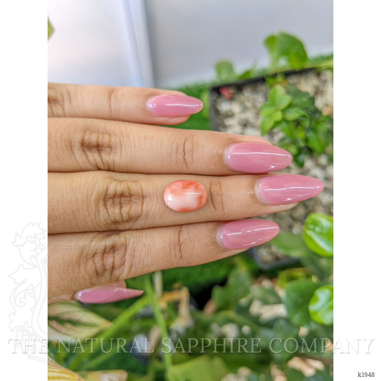 3.68 Ct. Cabochon Coral from Italy