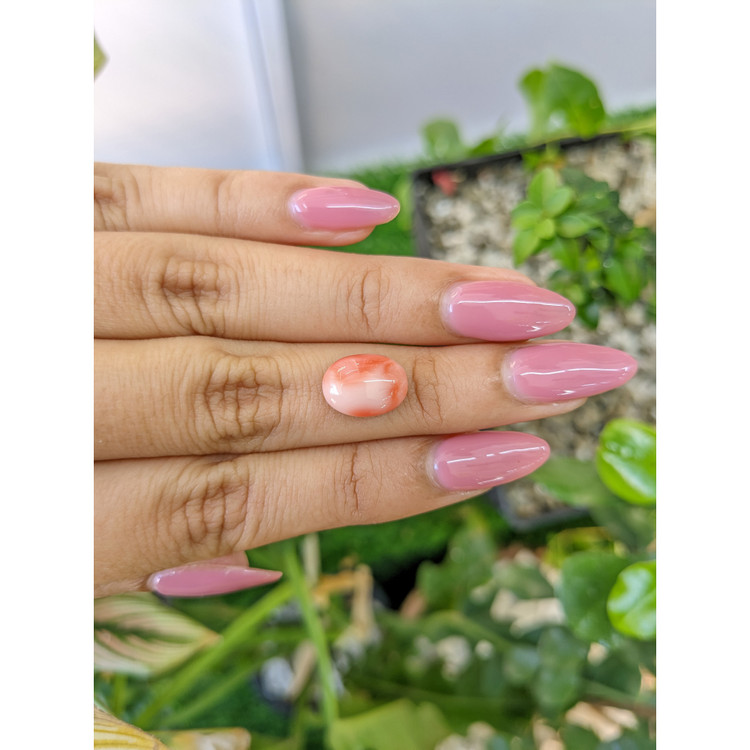 3.68 Ct. Cabochon Coral from Italy