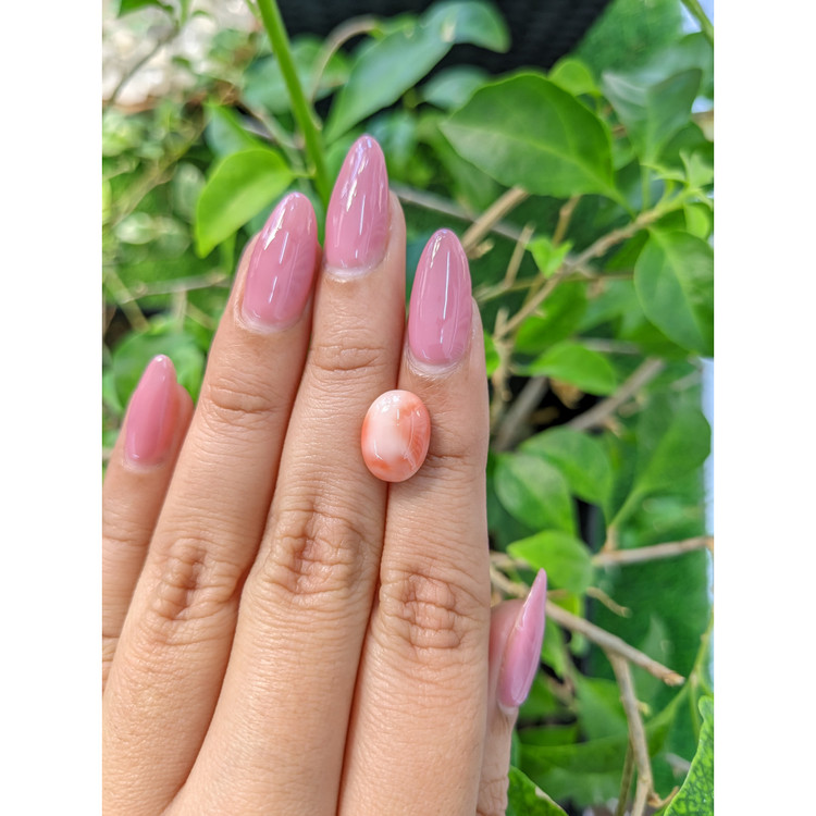 3.68 Ct. Cabochon Coral from Italy