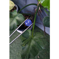 11.18 Ct. Cabochon Tanzanite from Tanzania Life Style