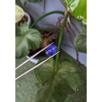 11.45 Ct. Cabochon Tanzanite from Tanzania Life Style