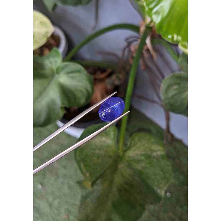 11.45 Ct. Cabochon Tanzanite from Tanzania