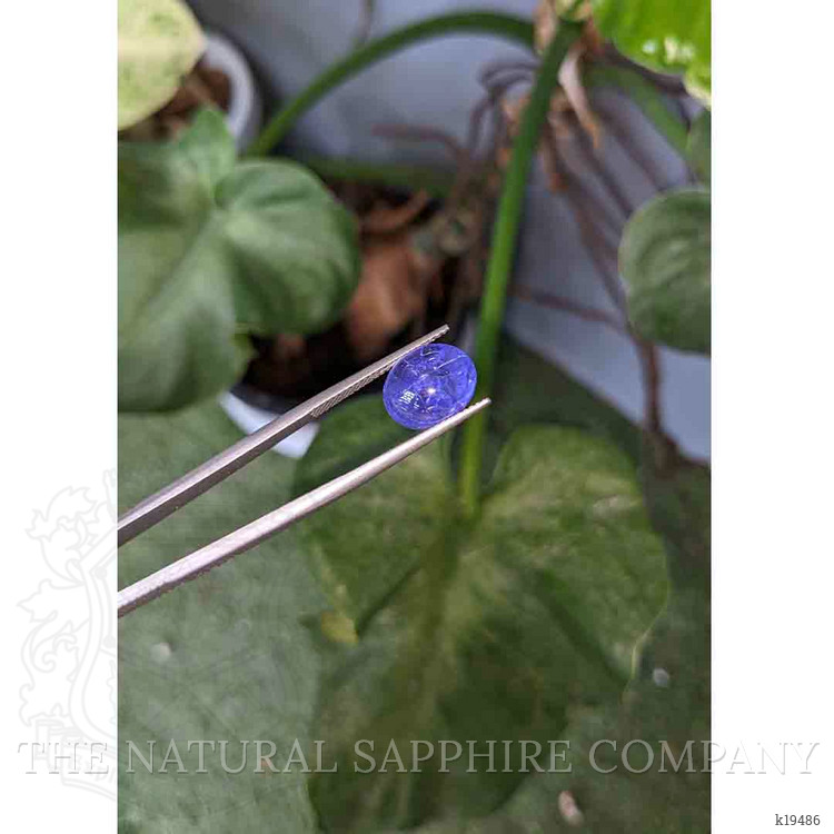 6.80 Ct. Cabochon Tanzanite from Tanzania