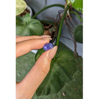 6.80 Ct. Cabochon Tanzanite from Tanzania Life Style