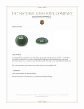 6.85 Ct. Green Cabochon Jade from Burma (Myanmar) Appraisal