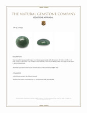 6.85 Ct. Green Cabochon Jade from Burma (Myanmar) Appraisal