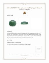 8.20 Ct. Bluish Green Cabochon Jade from Burma (Myanmar) Appraisal