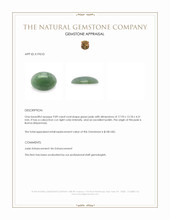 9.89 Ct. Green Cabochon Jade from Burma (Myanmar) Appraisal