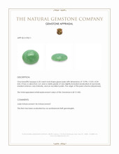 6.20 Ct. Cabochon Jade from Burma (Myanmar) Appraisal