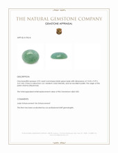 3.92 Ct. Bluish Green Cabochon Jade from Burma (Myanmar) Appraisal