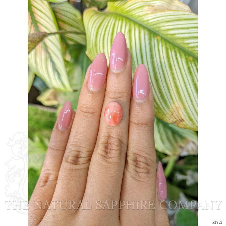 3.65 Ct. Cabochon Coral from Italy