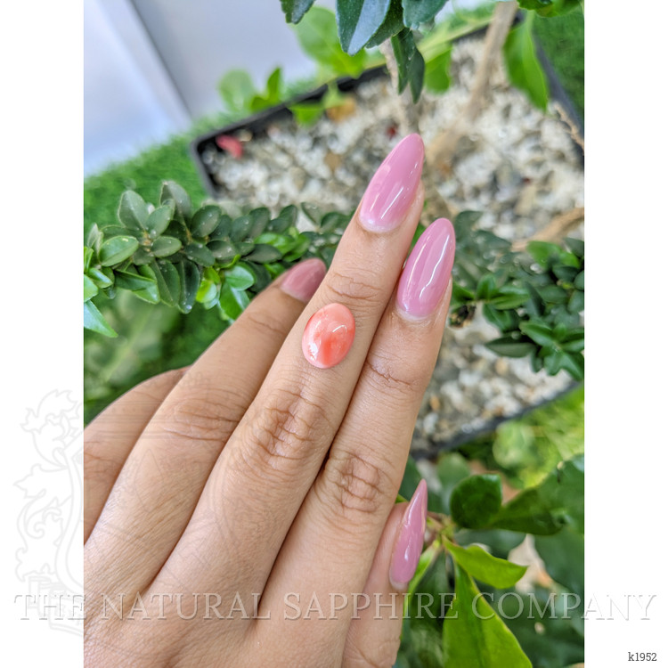 3.65 Ct. Cabochon Coral from Italy