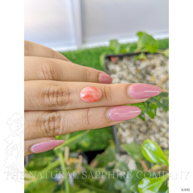 3.65 Ct. Cabochon Coral from Italy