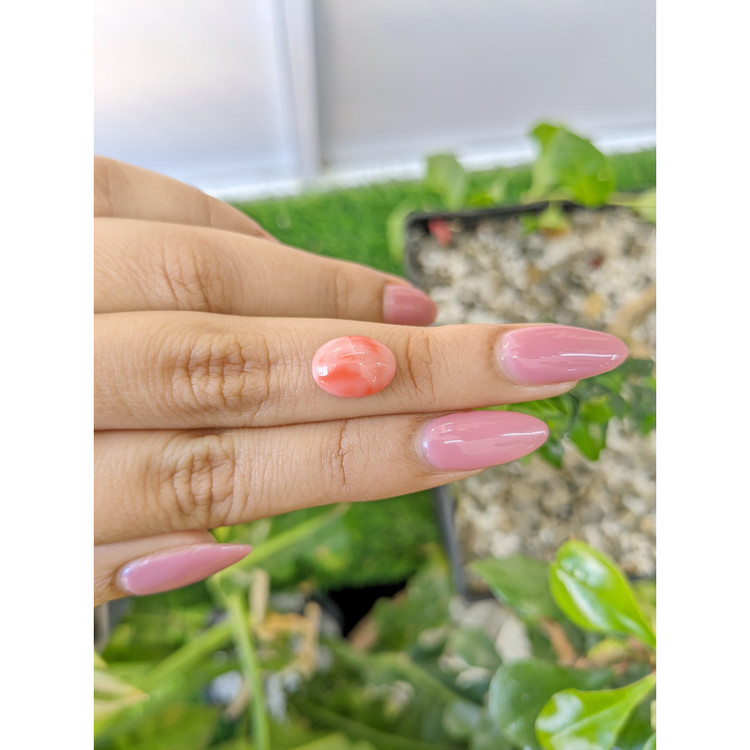 3.65 Ct. Cabochon Coral from Italy