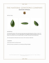 16.58 Ct. Green Cabochon Jade from Burma (Myanmar) Appraisal