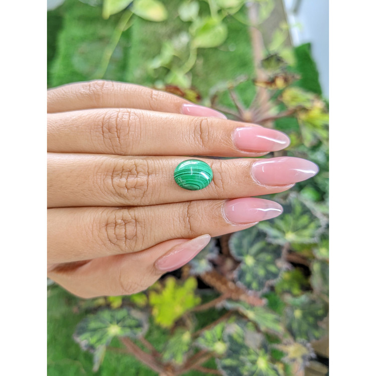 4.93 Ct. Cabochon Malachite from Russia