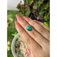 5.00 Ct. Cabochon Malachite from Russia Life Style