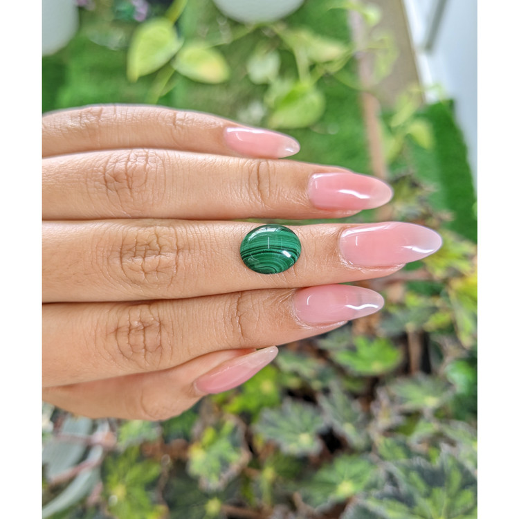 5.14 Ct. Cabochon Malachite from Russia