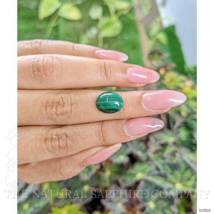 4.93 Ct. Cabochon Malachite from Russia