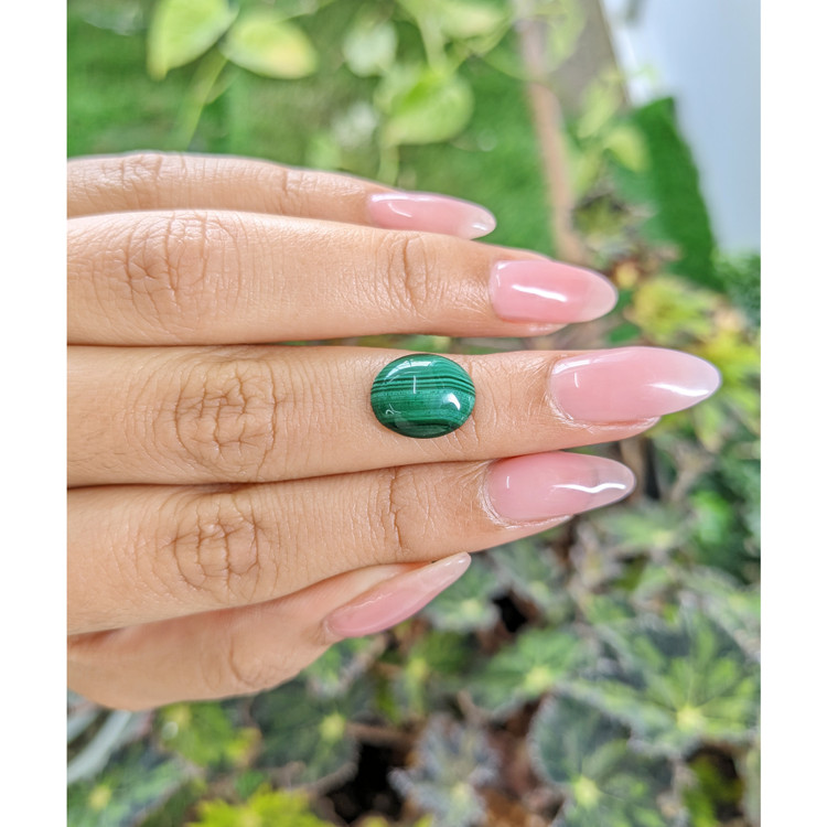 4.93 Ct. Cabochon Malachite from Russia