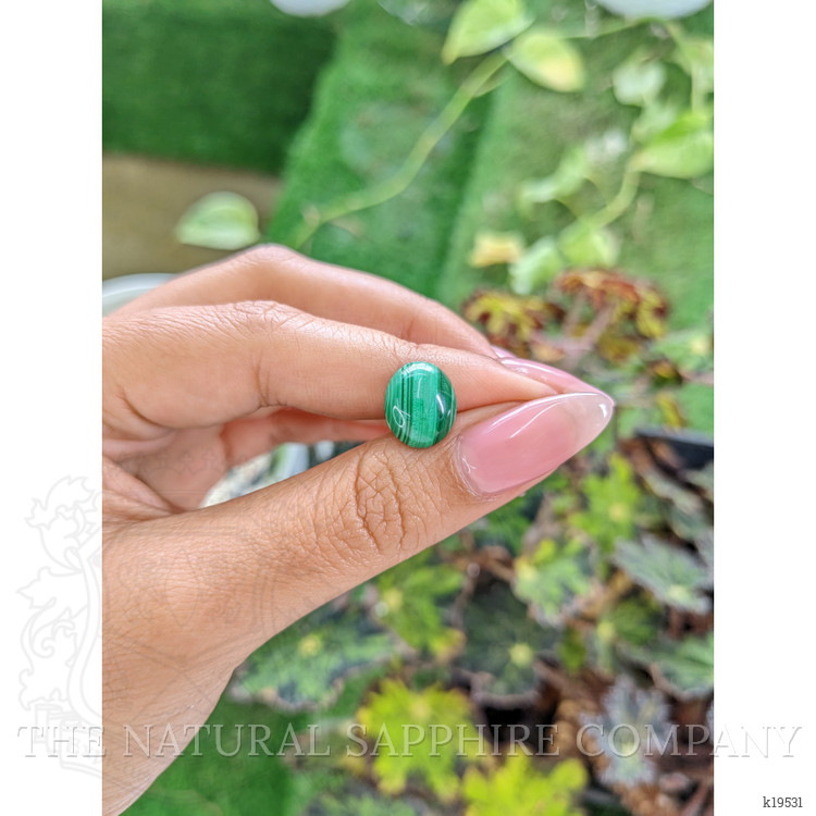 5.31 Ct. Cabochon Malachite from Russia