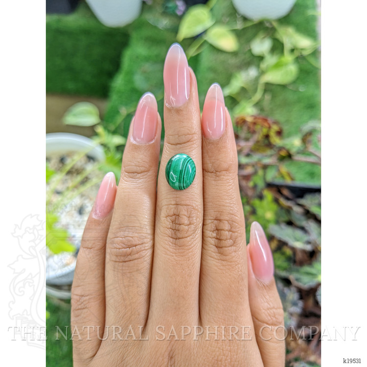 5.31 Ct. Cabochon Malachite from Russia