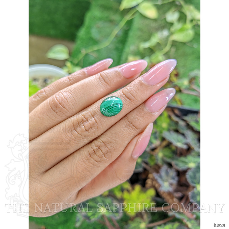 5.31 Ct. Cabochon Malachite from Russia