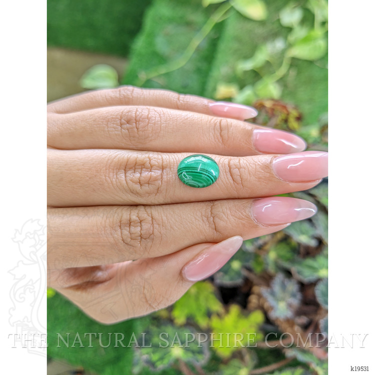 5.31 Ct. Cabochon Malachite from Russia