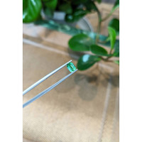 0.85 Ct. Tourmaline from Afghanistan Life Style