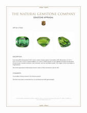 0.82 Ct. Green Tourmaline from Afghanistan Appraisal