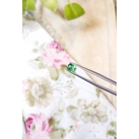 0.82 Ct. Tourmaline from Afghanistan Life Style