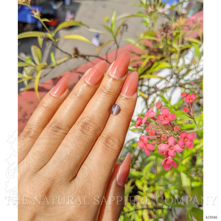 1.44 Ct. Cabochon Apatite from Ceylon (Sri Lanka)