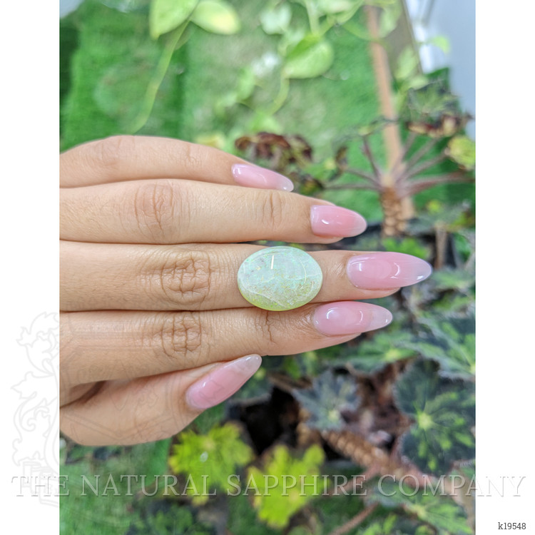 11.39 Ct. Cabochon White Opal from Australia