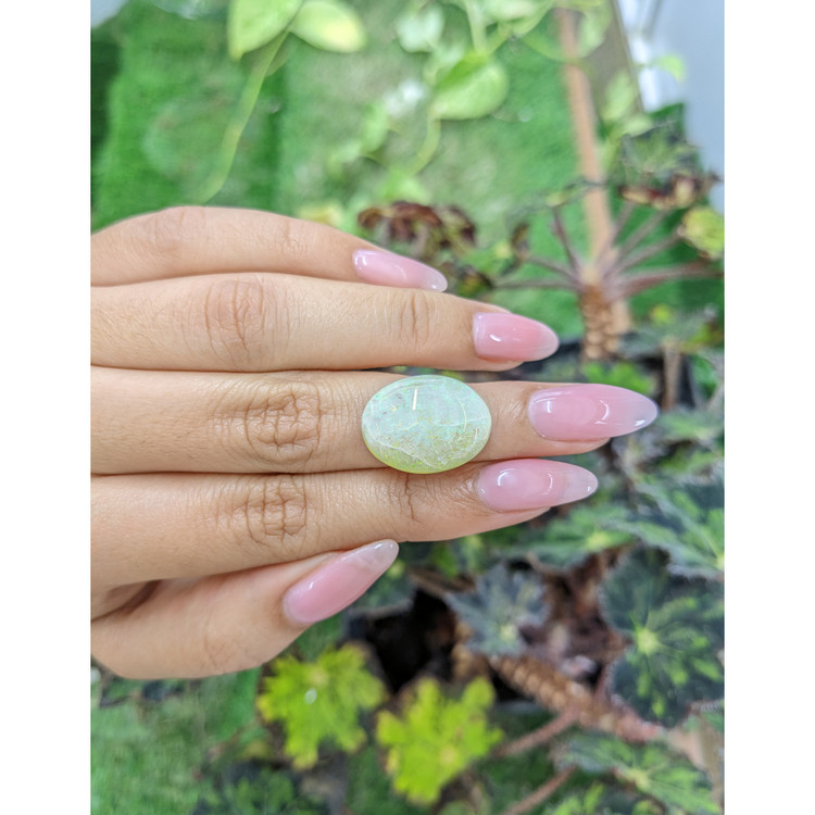 11.39 Ct. Cabochon White Opal from Australia