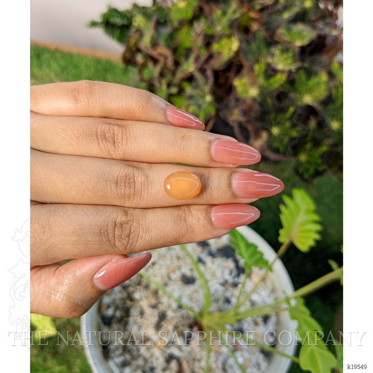 3.40 Ct. Cabochon Jelly Opal from Australia