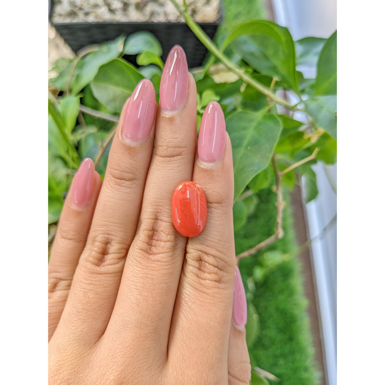 4.56 Ct. Cabochon Coral from Italy