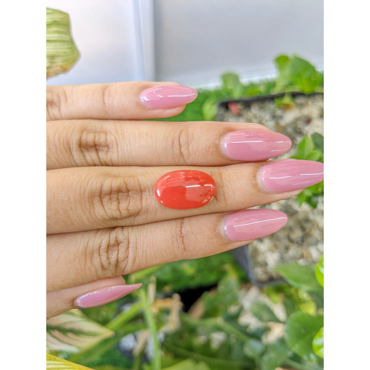 4.56 Ct. Cabochon Coral from Italy