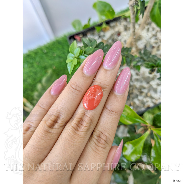 4.56 Ct. Cabochon Coral from Italy