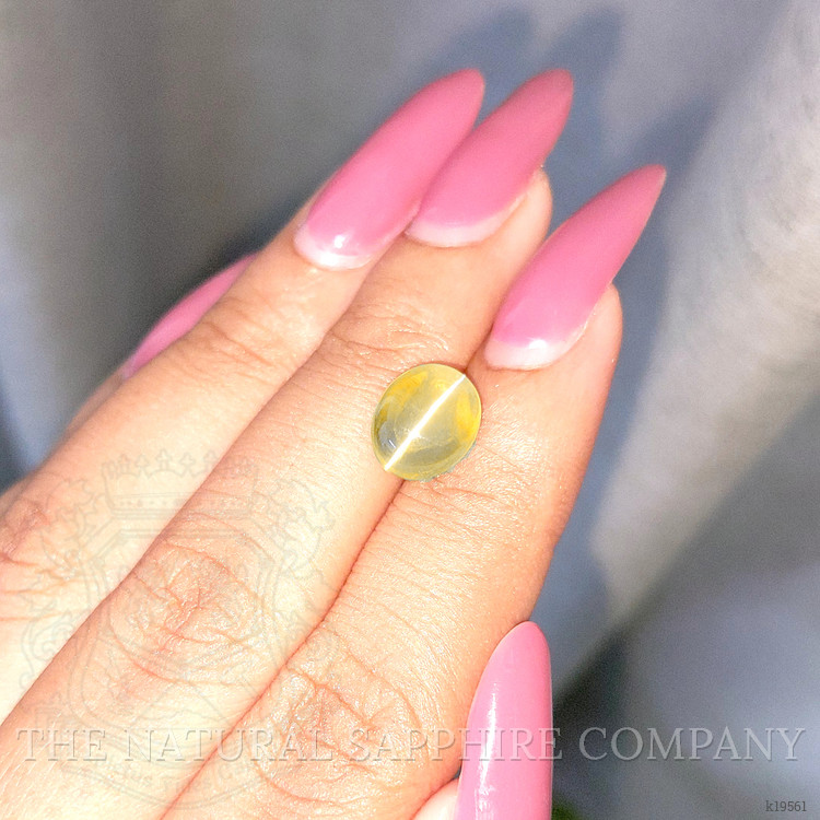5.09 Ct. Cabochon Chrysoberyl from Ceylon (Sri Lanka)