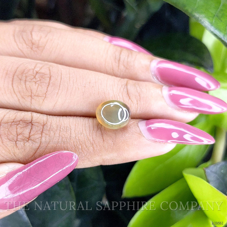 5.09 Ct. Cabochon Chrysoberyl from Ceylon (Sri Lanka)