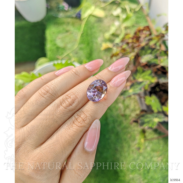 12.50 Ct. Ametrine from Madagascar