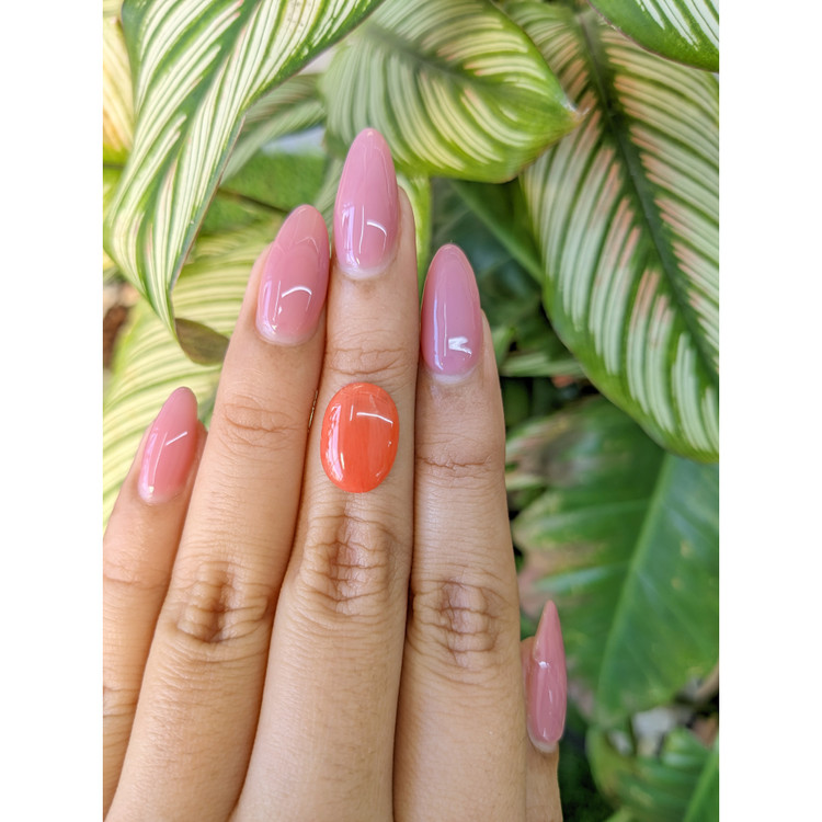 3.02 Ct. Cabochon Coral from Italy